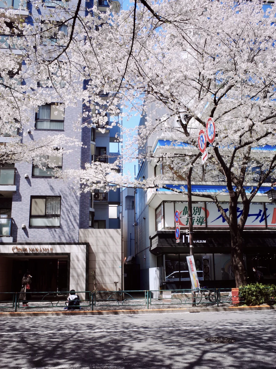 28mm视角下的春天