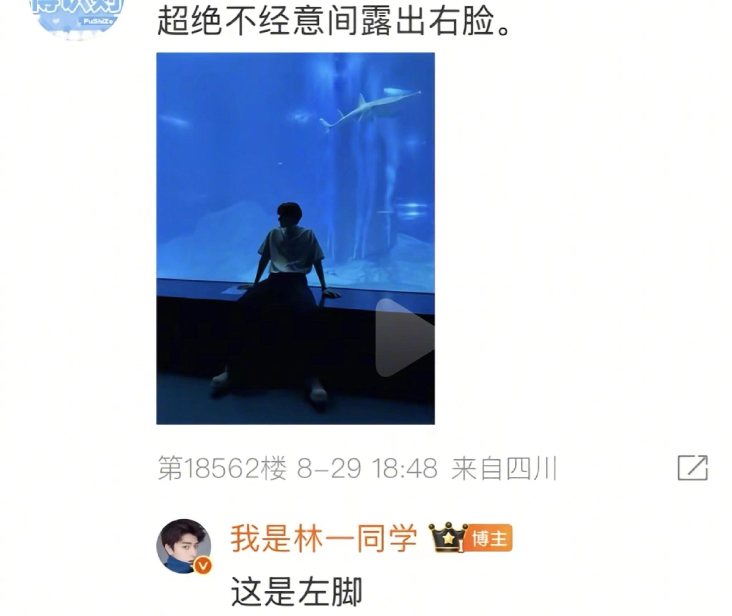 林一怎么那么抽象