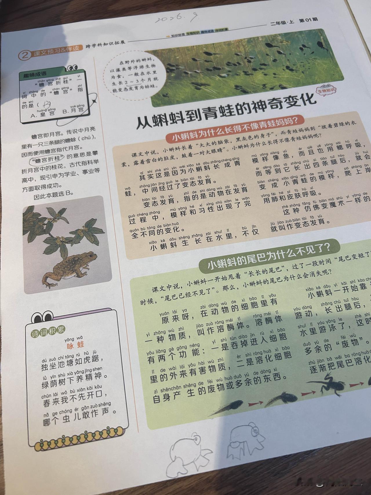 今天看到一个天津的妈妈给高中的儿子补语文课，一节课1200元，看得我直冒冷汗。