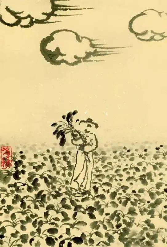 秋风已经起来，准备吃肉解馋。
要将十里萝卜，一一炖了牛腩。