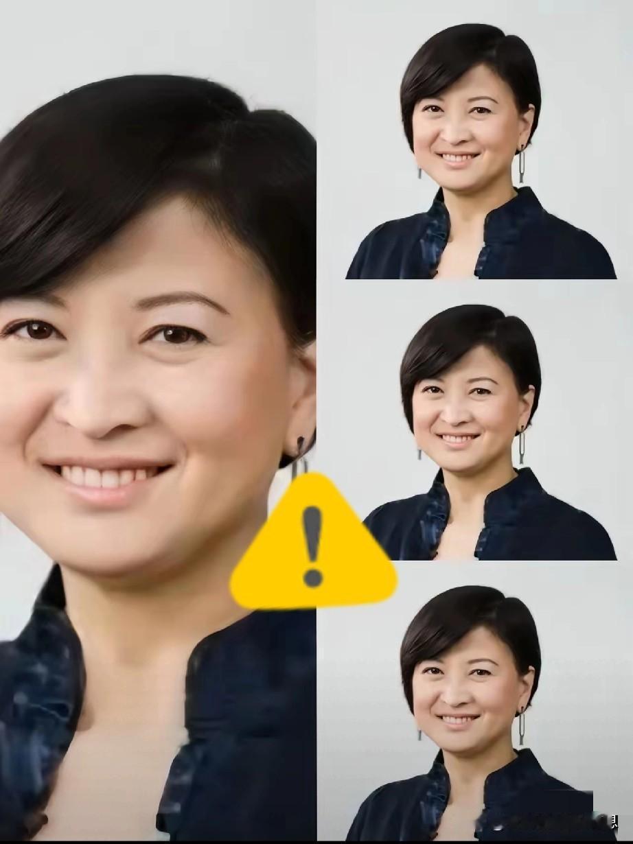 袁莉，北京大学毕业生，曾经的新华社记者。公费派往美国，在哥伦比亚大学深造。却加入