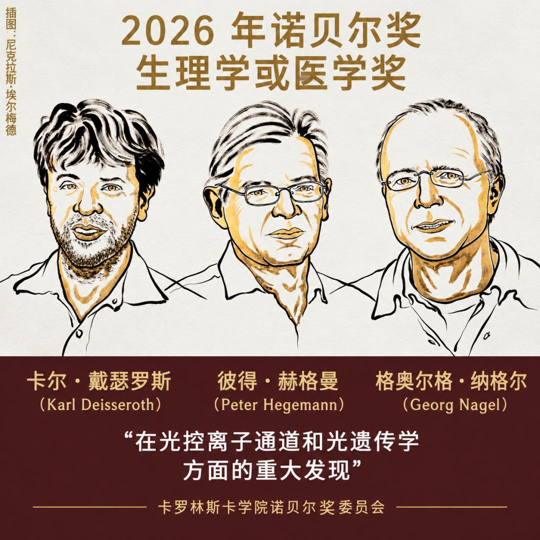 2026年的诺贝尔生理学或医学奖颁给了“光遗传学”，科学界的第一反应不是“终于轮