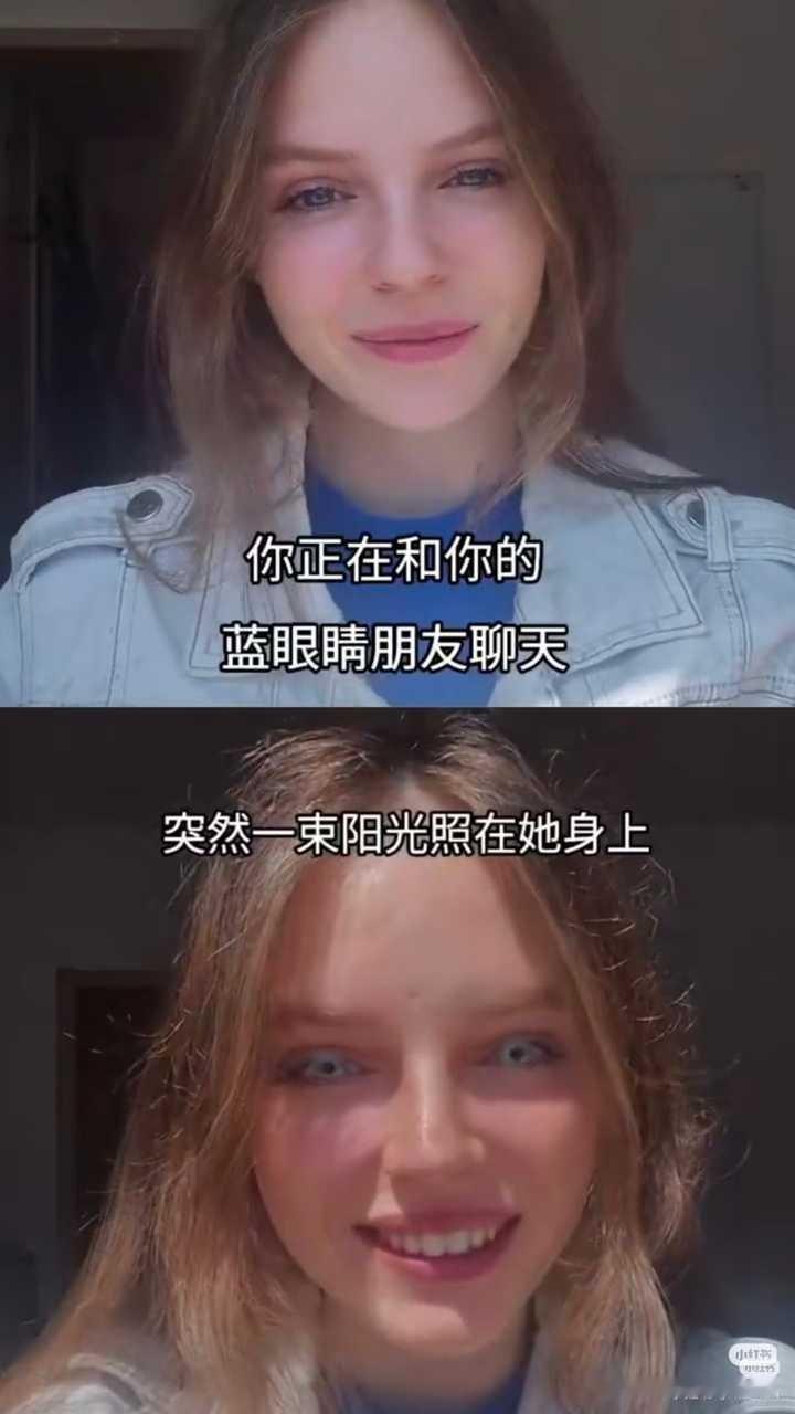 12368【提供】 