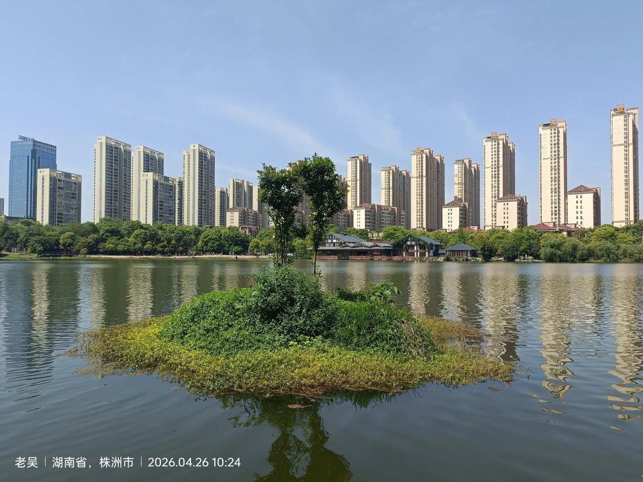 分享你的随手拍株洲栗雨湖，春游好去处