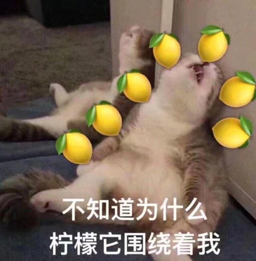 没关系的少爷，老爷夫人明天就买新别墅了