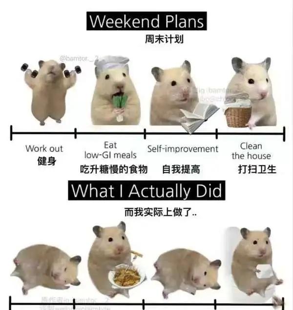 沙雕梗图5
大家周末都在做啥呢？[吐舌][吐舌][吐舌][吐舌]
狂打游戏，然后