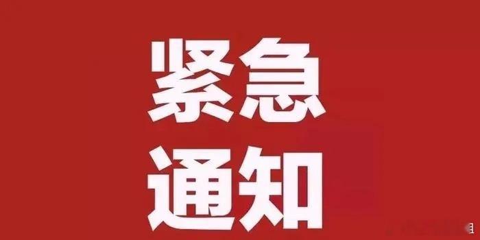 紧急通知！下午有牛牛上车！有兴趣可以私信姗姗姐，机不可失，失不再来！ ​​​