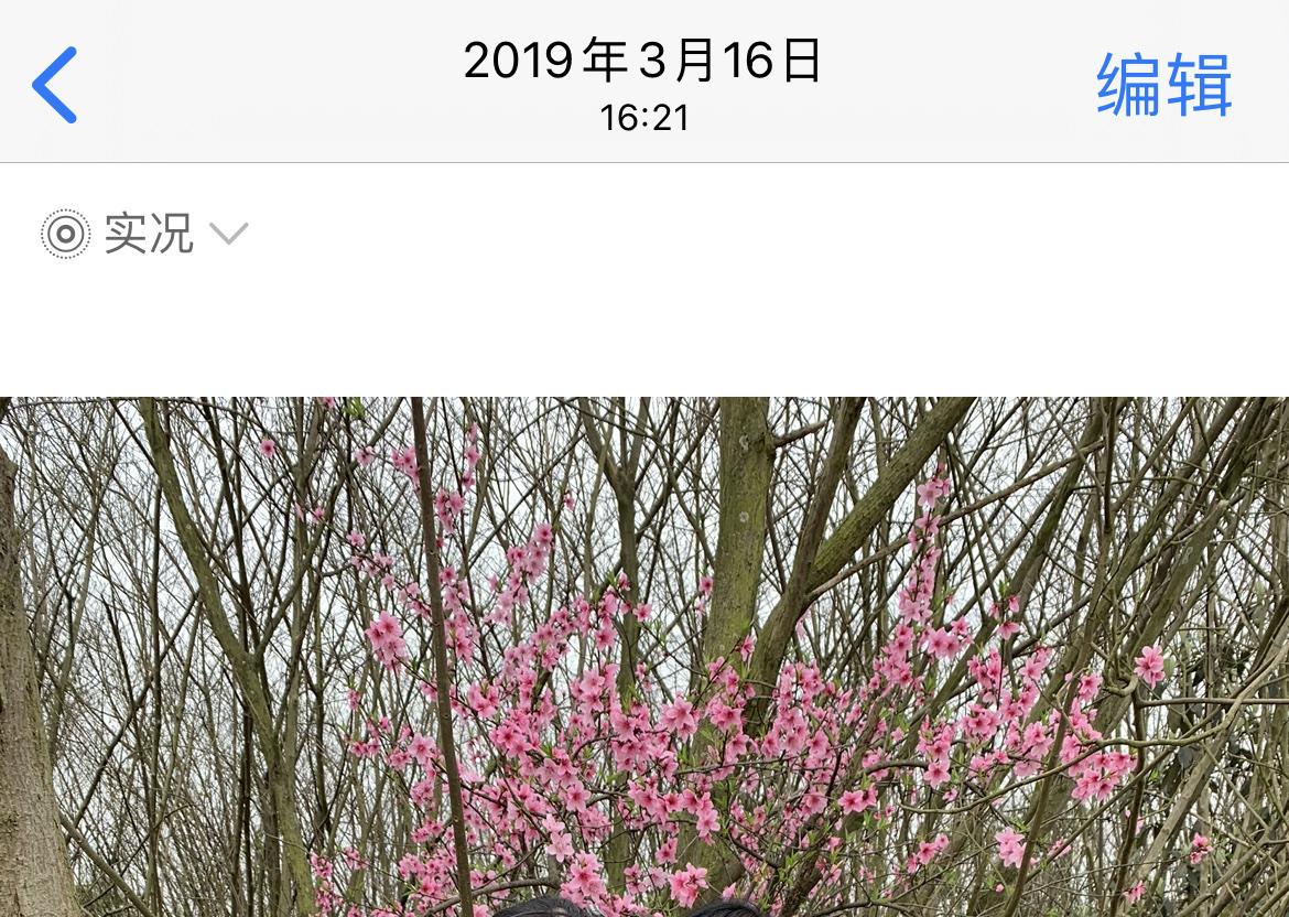 准备好了吗—-寻找成都桃花盛开的春天？大约在3月中旬！

数据帝统计近几年的盛花