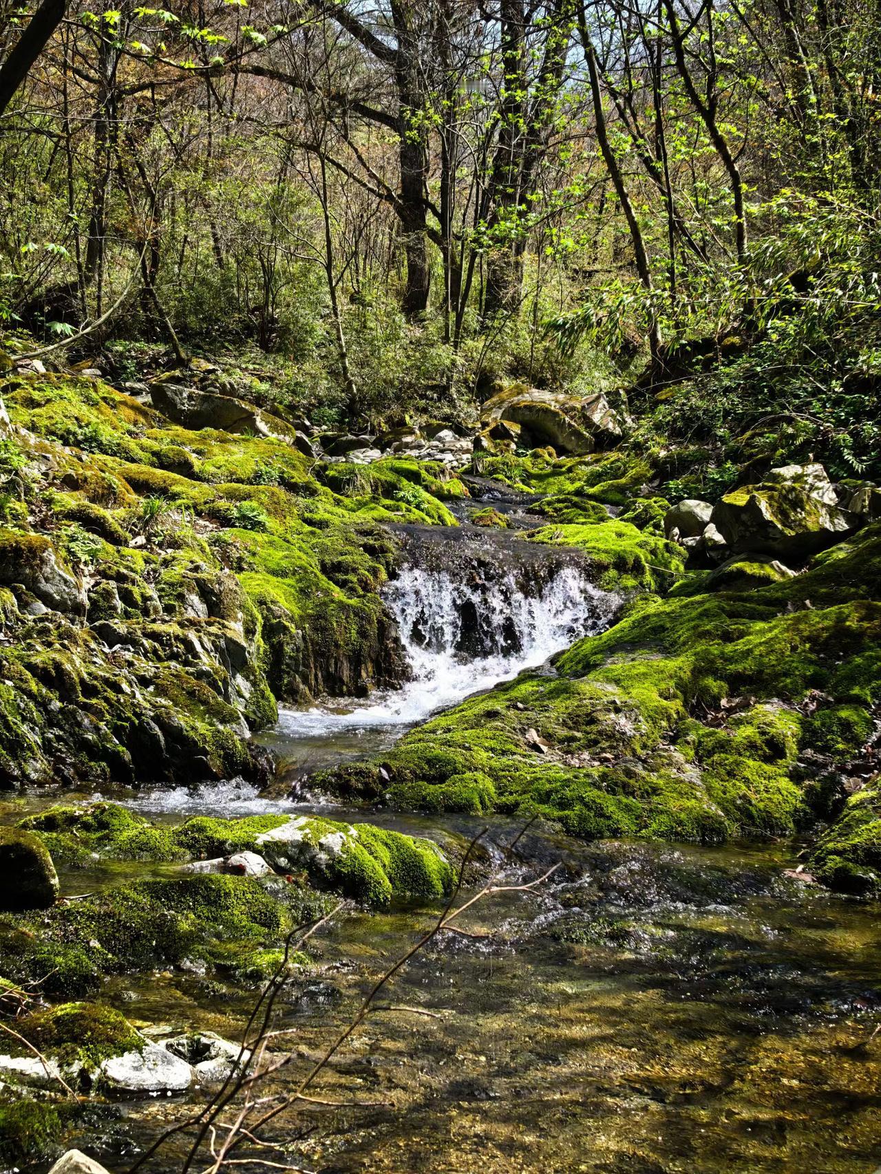 从兰州来到陇南，简直就像来到了陇上江南，山上绿树成荫，小溪清澈见底，负离子满满，