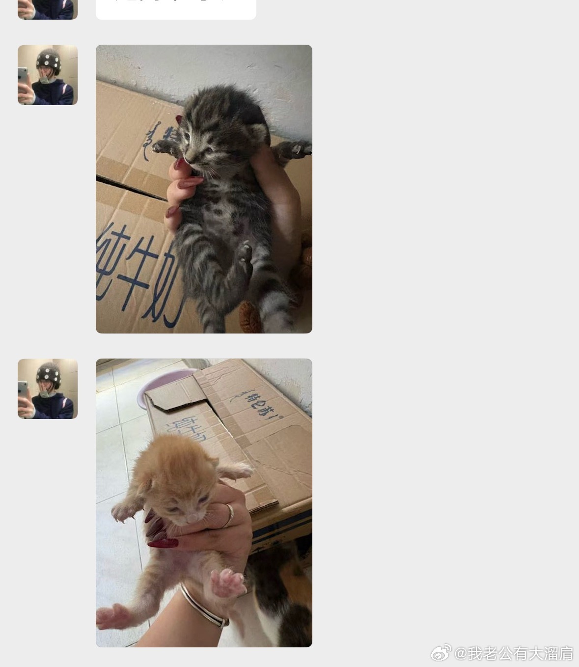 或许有人可以帮我决定一下吗🥹二选一养一只小猫咪 
