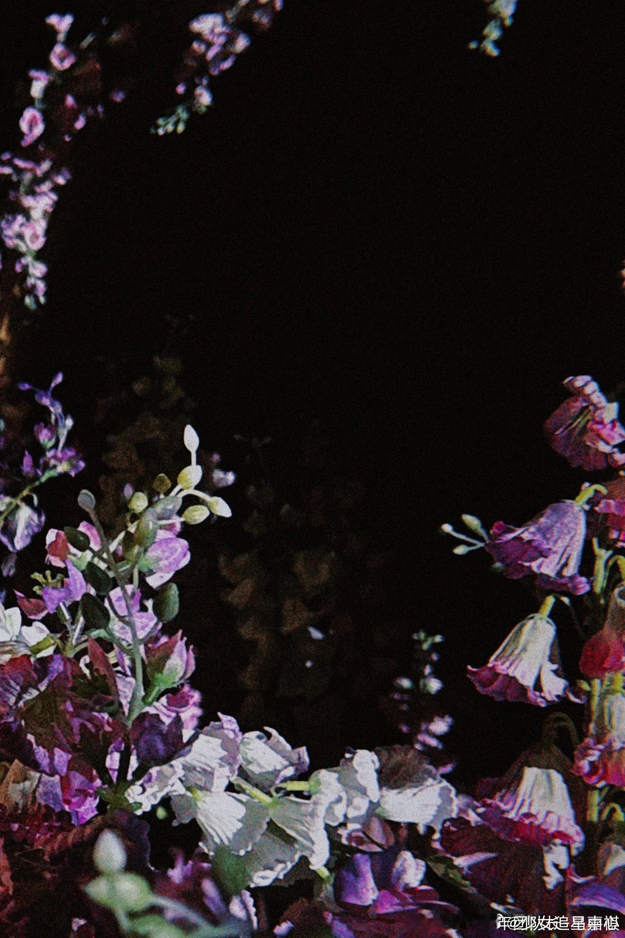 马嘉祺说给贵阳的好天气说声Hi~好漂亮的紫色花花啊，期待哥酱 的六周年演唱会舞台