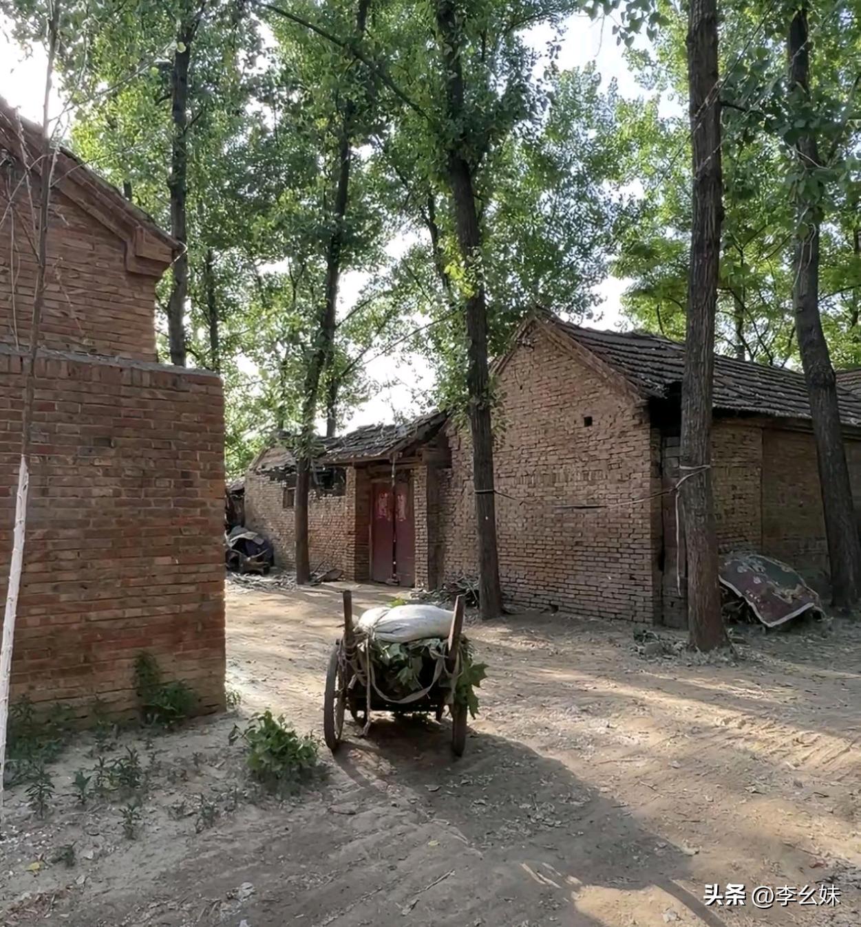 这样的场景真的是看一眼少一眼了