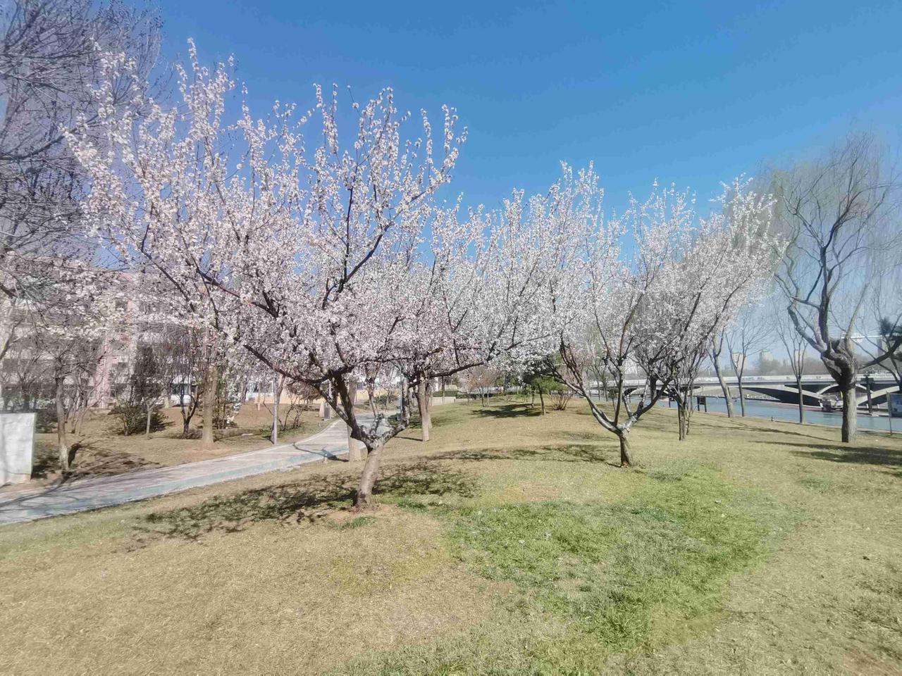 我的今日状态：😁轻松愉快
我这里的天气：☀️晴天