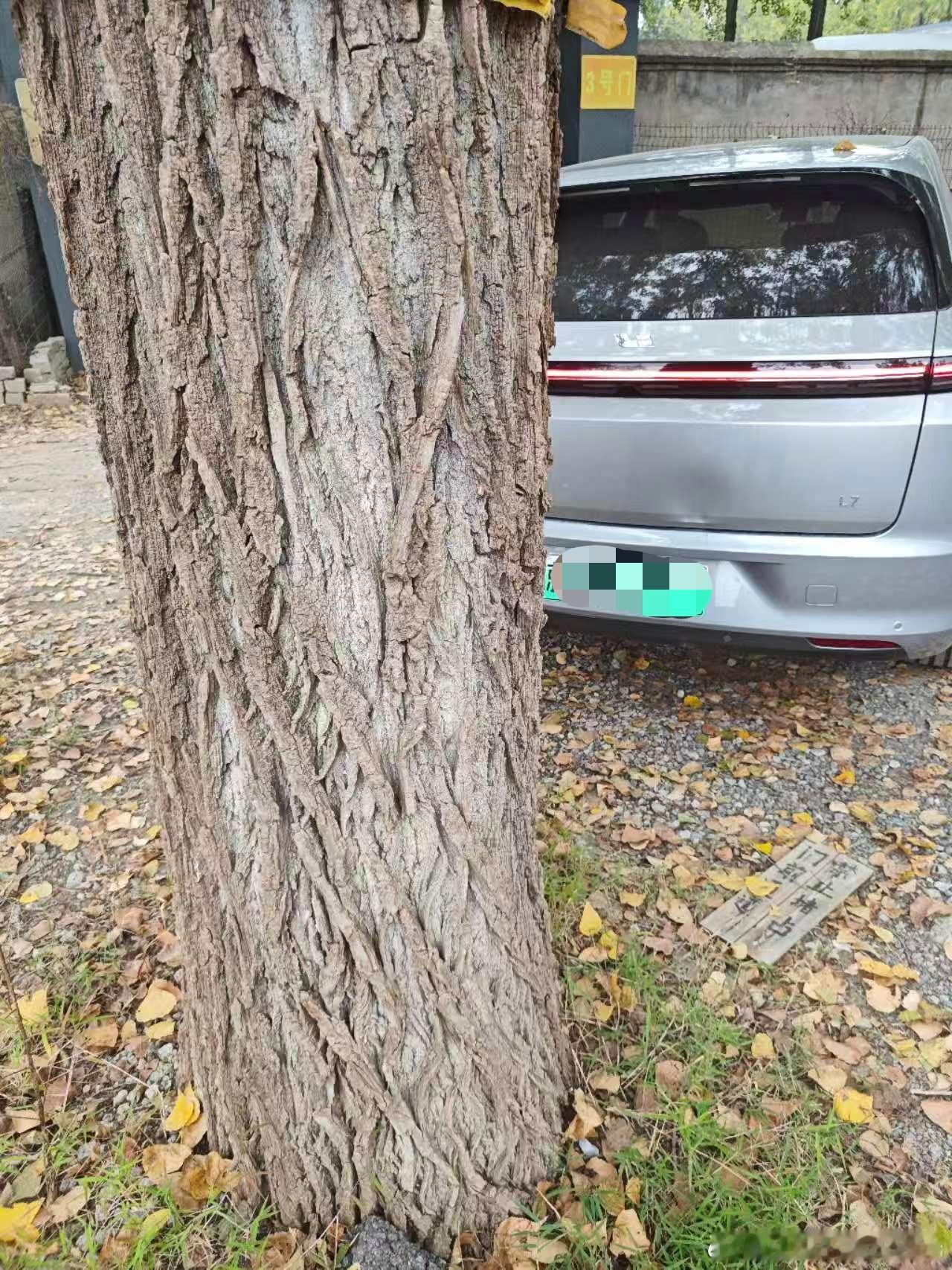 白宁的理想l7 这后盖和后杠可能真的受了什么xx了，就不能没有伤害，刚把比亚迪撞