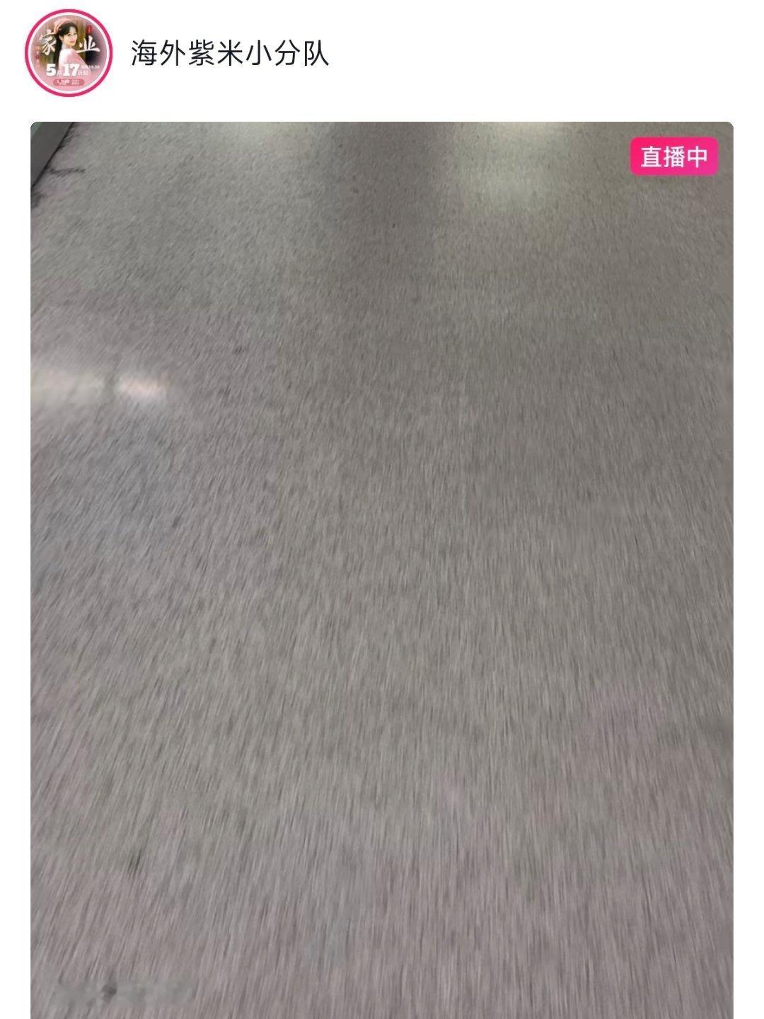 海外紫米接机中