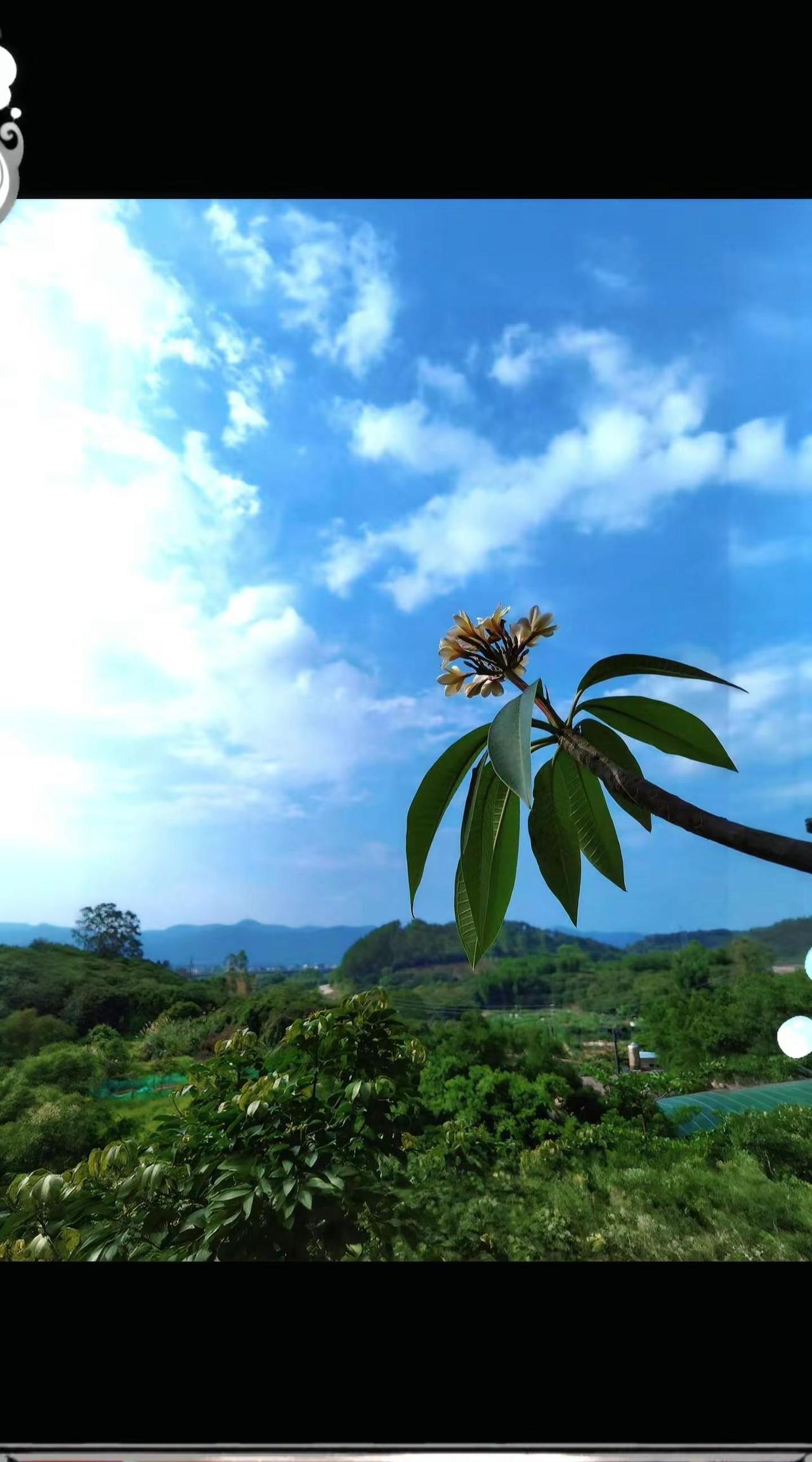 我家阳台