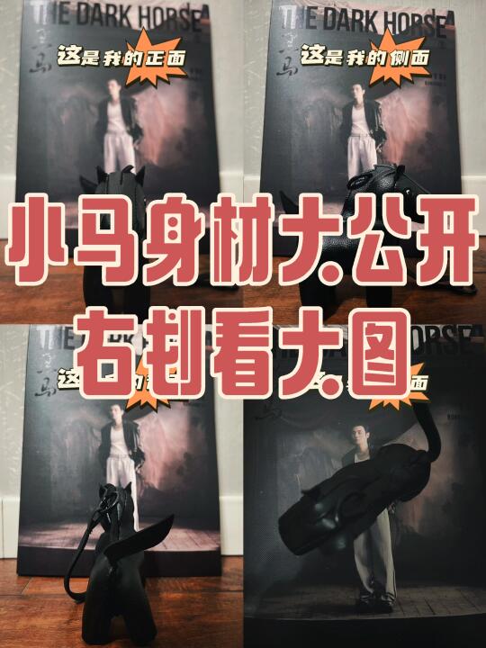 小马身材大公开 （内附镇长帅照一张