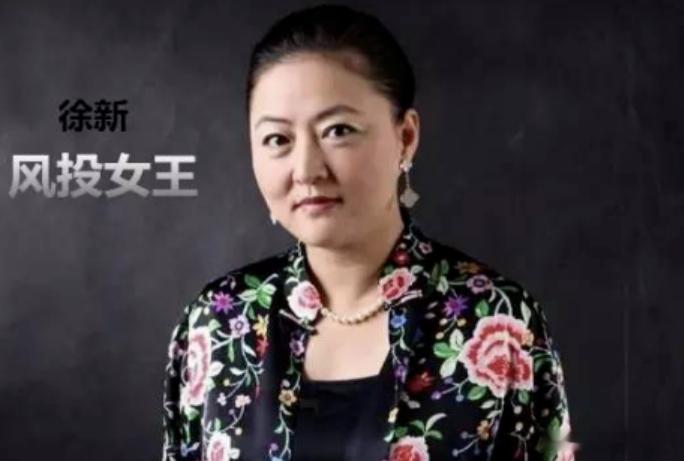 创投女王徐新 徐新是怎么工资几百块的上班族成为财富百亿的风投女王的？最关键的是早