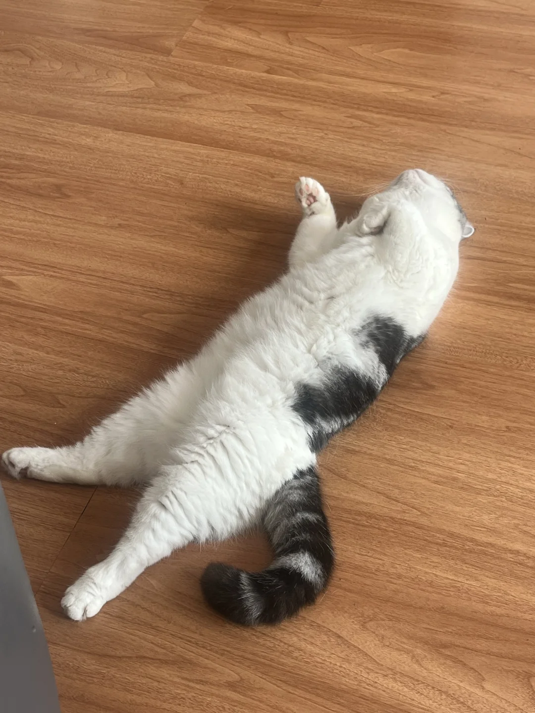 亲生的！怎么不是个小宝宝呢🍼