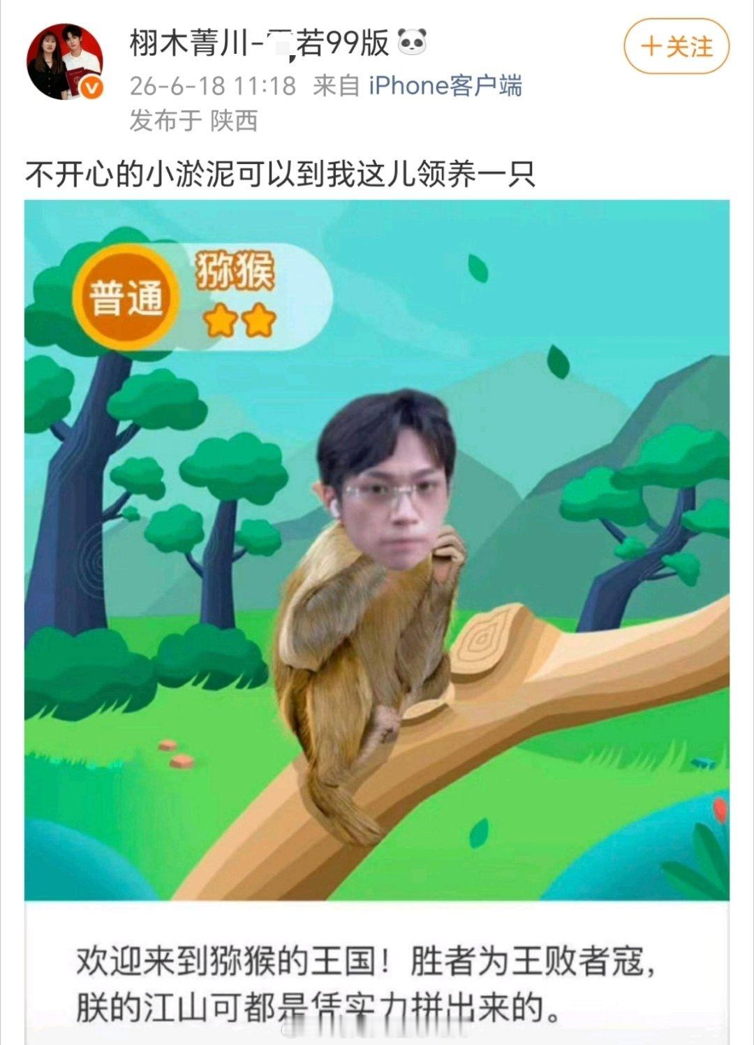 哈哈哈哈 