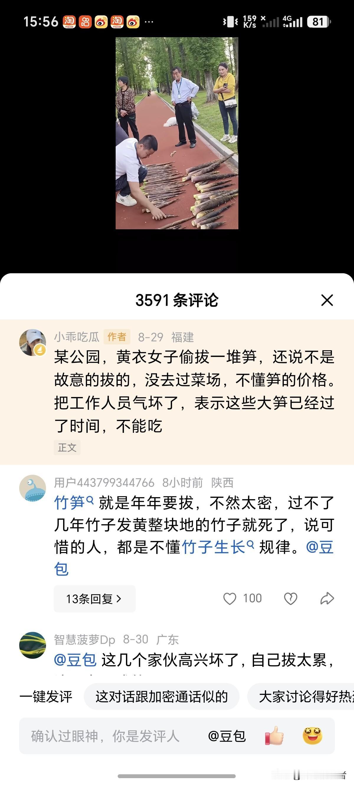 经常逛公园，就是不见有竹笋，也不见有新竹子，原来原因在这里，竹子的后代都被一些人