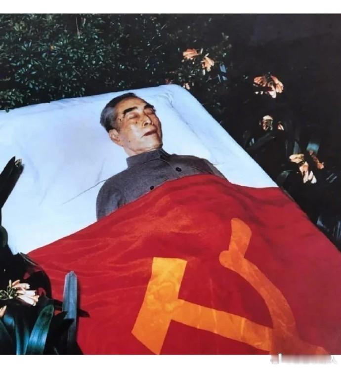 “为中华崛起而读书！”  永远缅怀我们敬爱的周总理! ​​​
