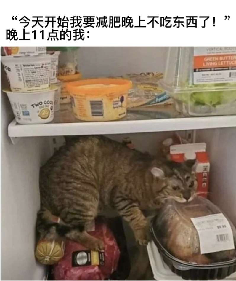 今晚我住这儿#今日memes# //#新年快乐漫游指南# ​​​