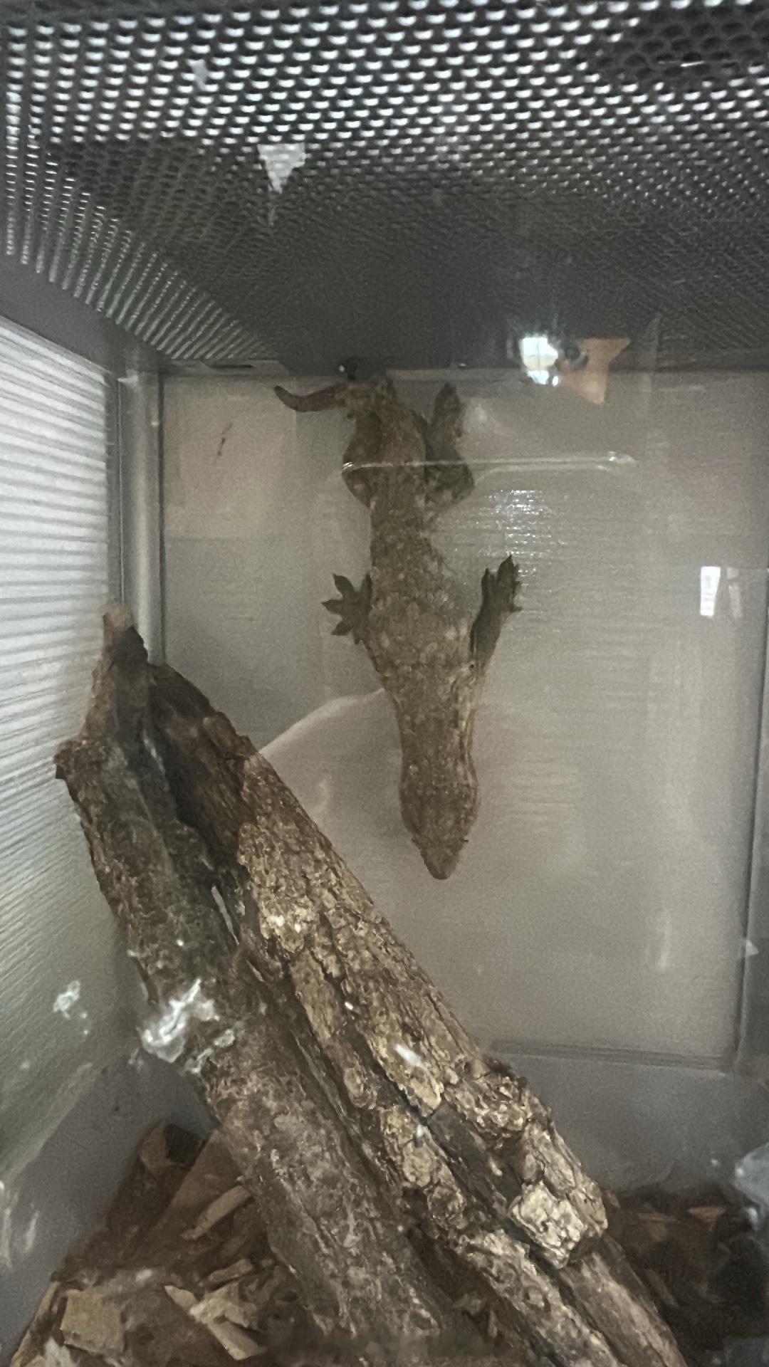 你说他在想啥呢 