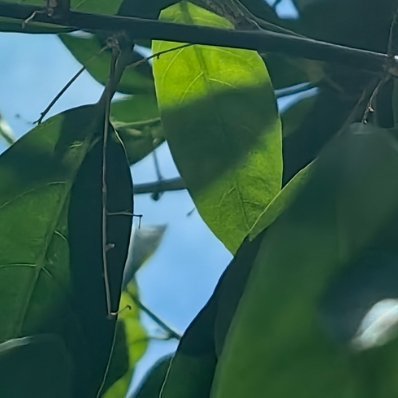 每日一善 善不缺席，日日向好。小善不停，步步生暖。心向善意，日日晴朗。 