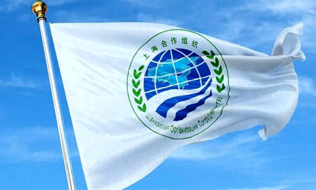 越南为什么没有让最高领导人出席？上合峰会召开之际，苏林选择缺席，只派副主席赴会，