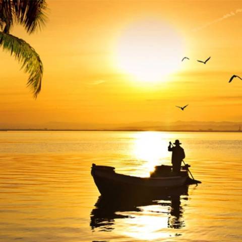 廷至闲聊渔夫遇海