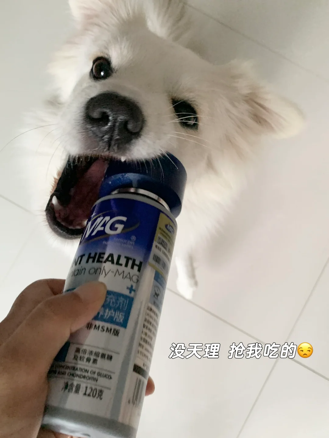 没天理啊！我妈抢我吃的，ee们快把她抓走！