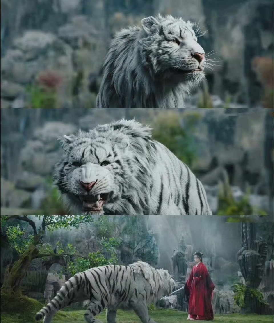 邓为新剧男狐狸爆改小猫咪  邓为在《仙台有树》中的演技太精湛了，男狐狸与小猫咪的