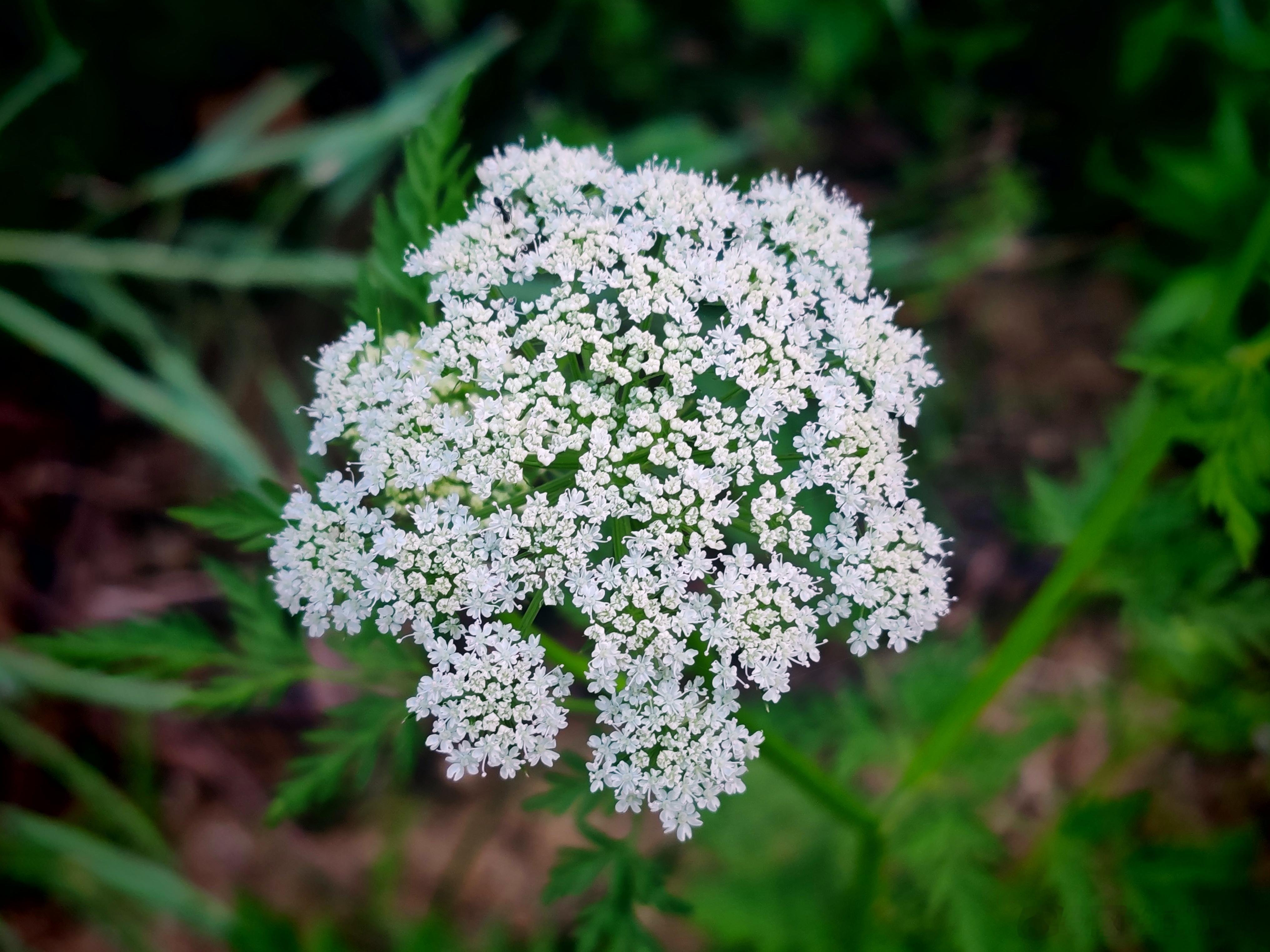 随手拍美景 边走边拍，随手拍一下，就是今天路遇的美，错过了，也就没有了……随手拍