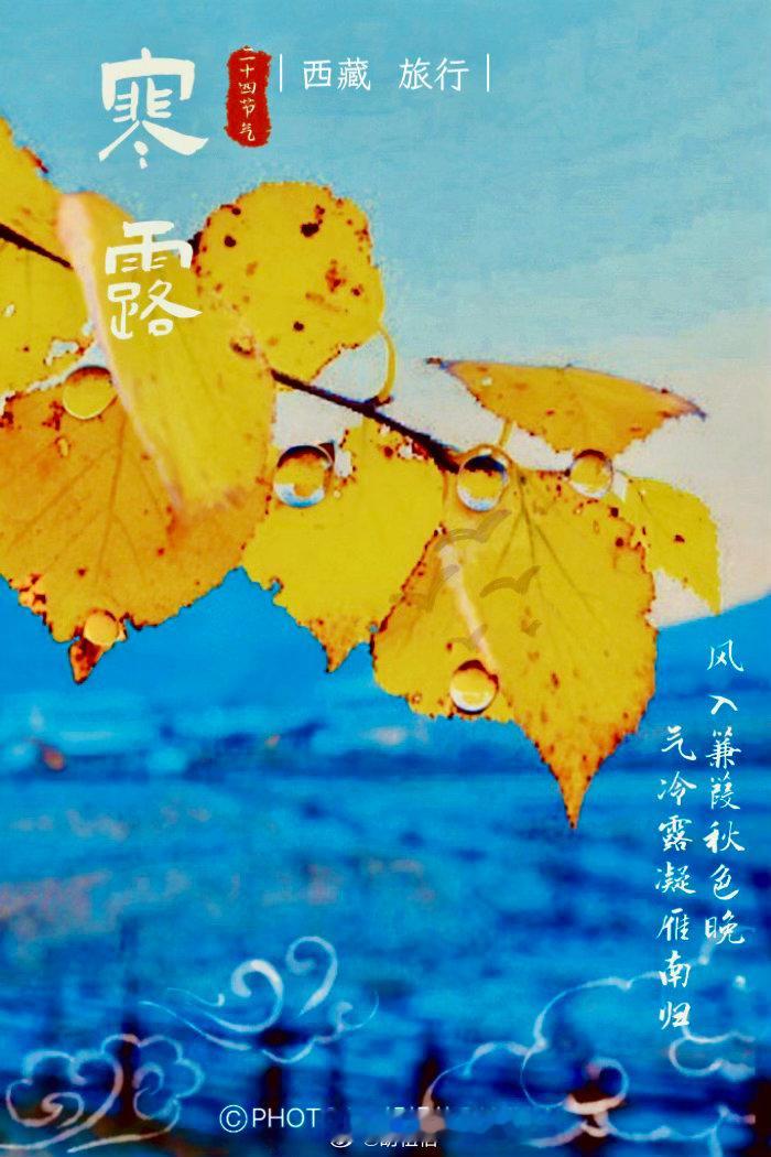 二十四节气西藏旅行 寒露来时叶渐黄，一园秋意韵尤长。 ​​​