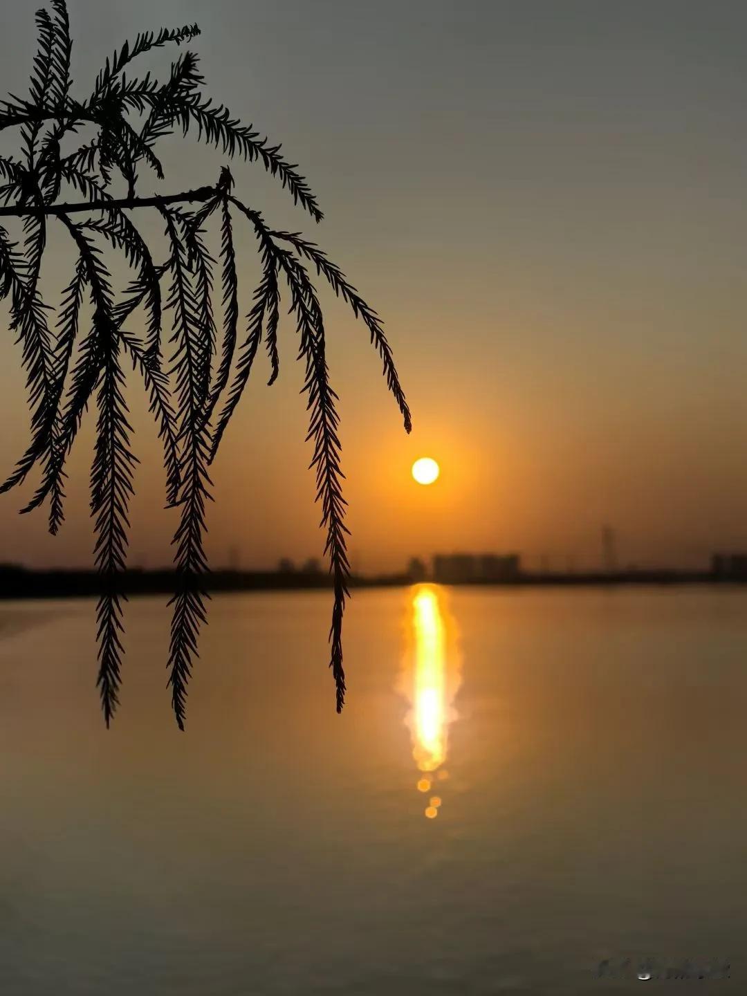 🌅 晚霞绚烂，夕阳鎏金，江河如镜，美景天成！

海韵学堂