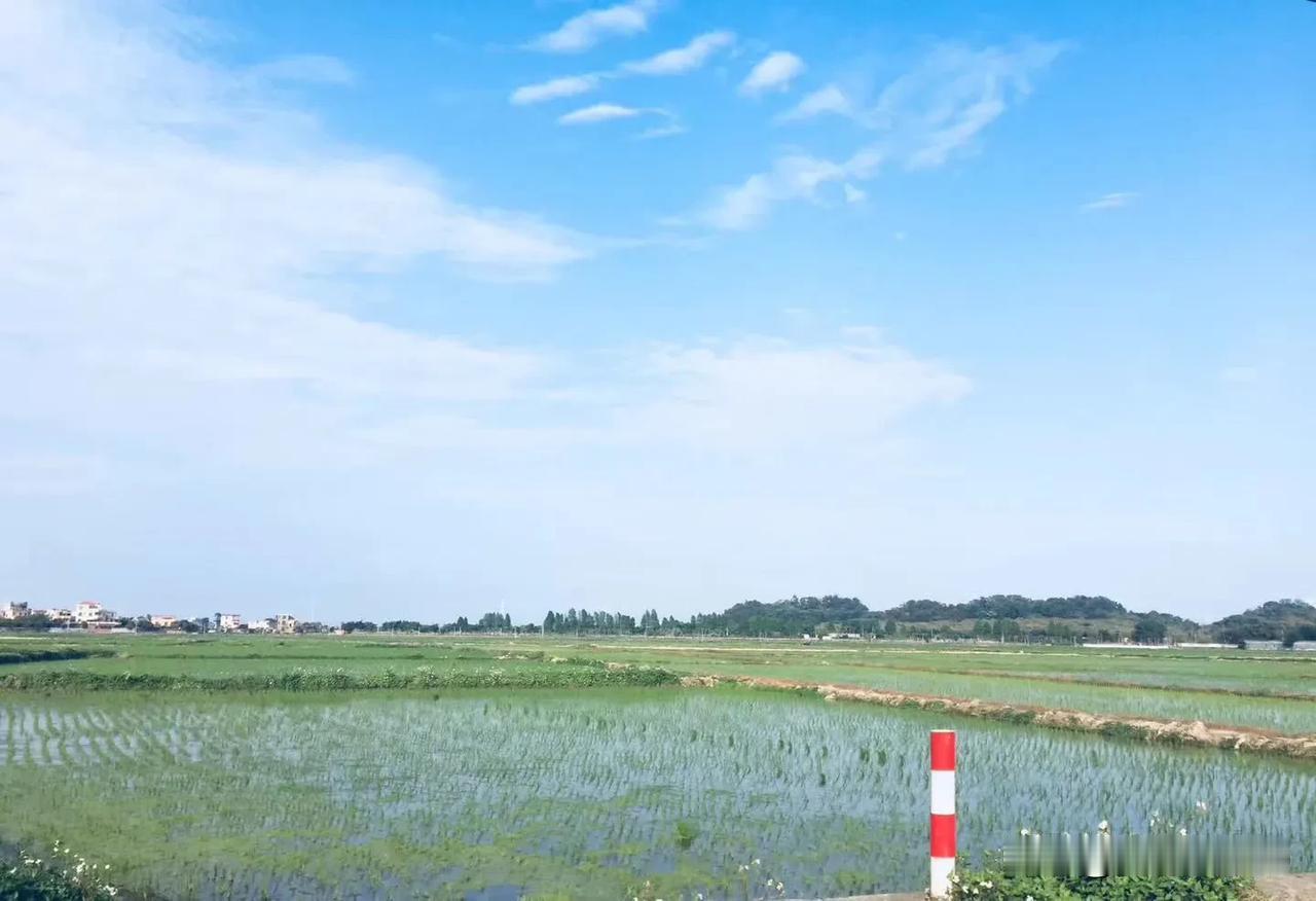 某些人脸皮就是厚，不得不服。什么空头大话都敢说。反正吹牛不上税，也不犯法，成不成