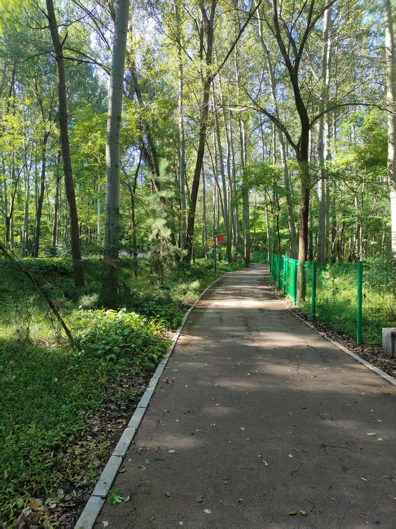 小路
走在乡村的小路上。