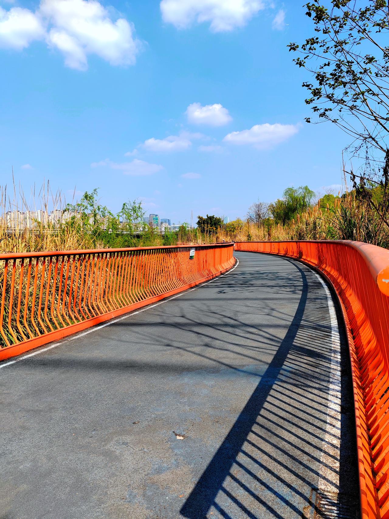 晒晒绿道的阳光，拍拍前行的路。退休了，时间就属于自己了。趁着春光正好，去骑行，去