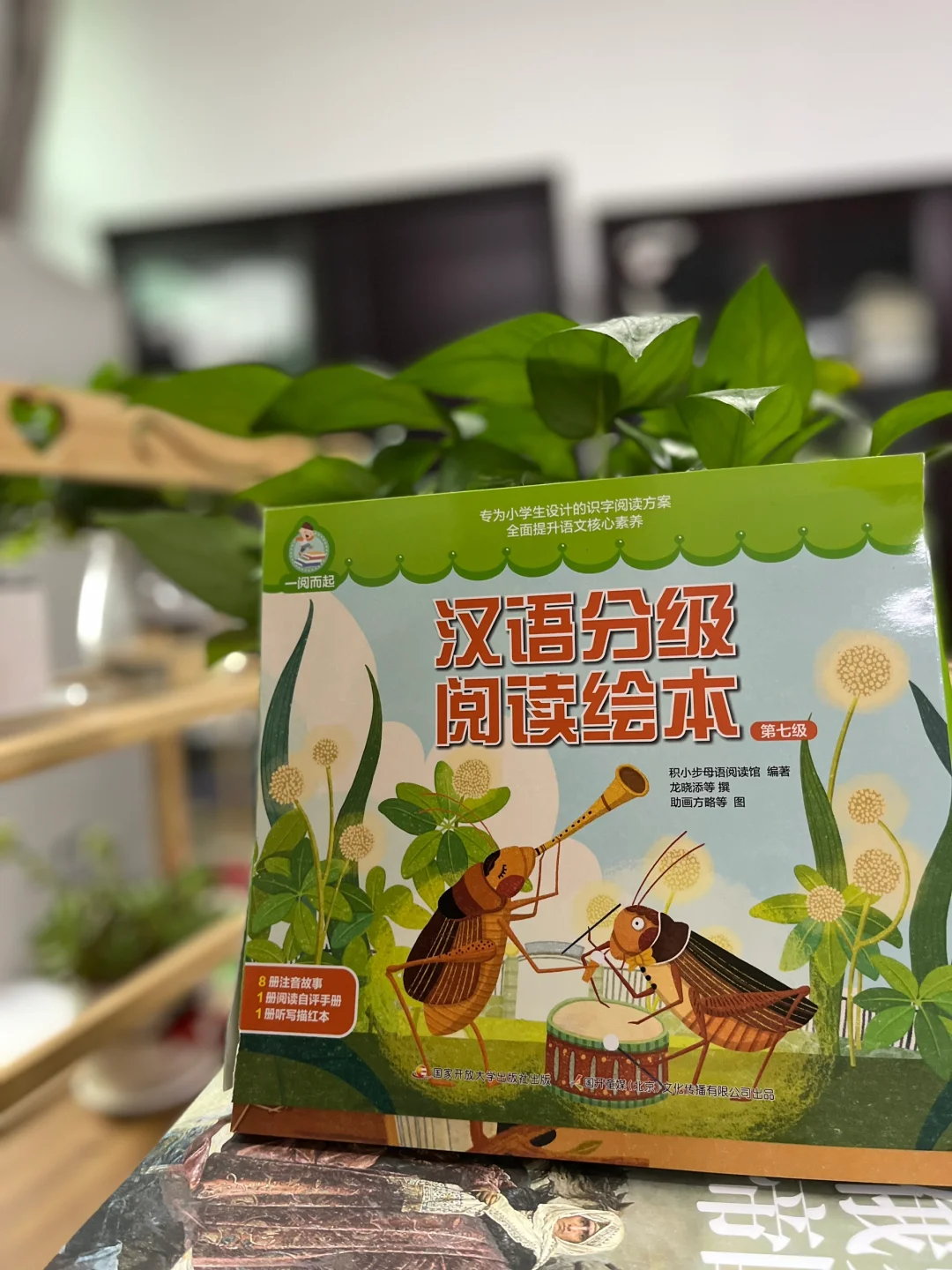 打好语文基本功，从这套书开始吧！