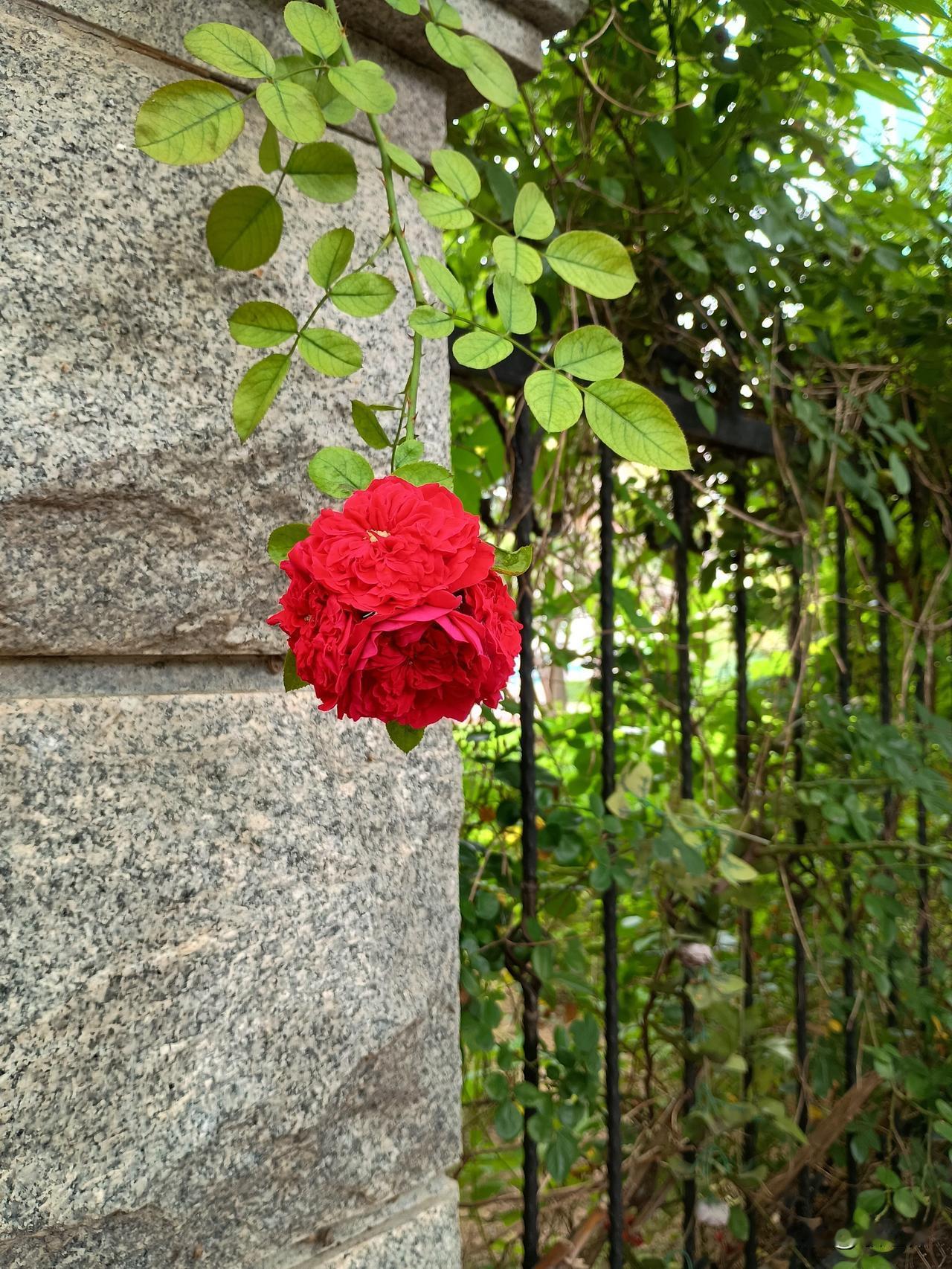 福如东海长流水
寿比南山不老松
——这款对联真是经典，看过上联下联跟着就出来了！