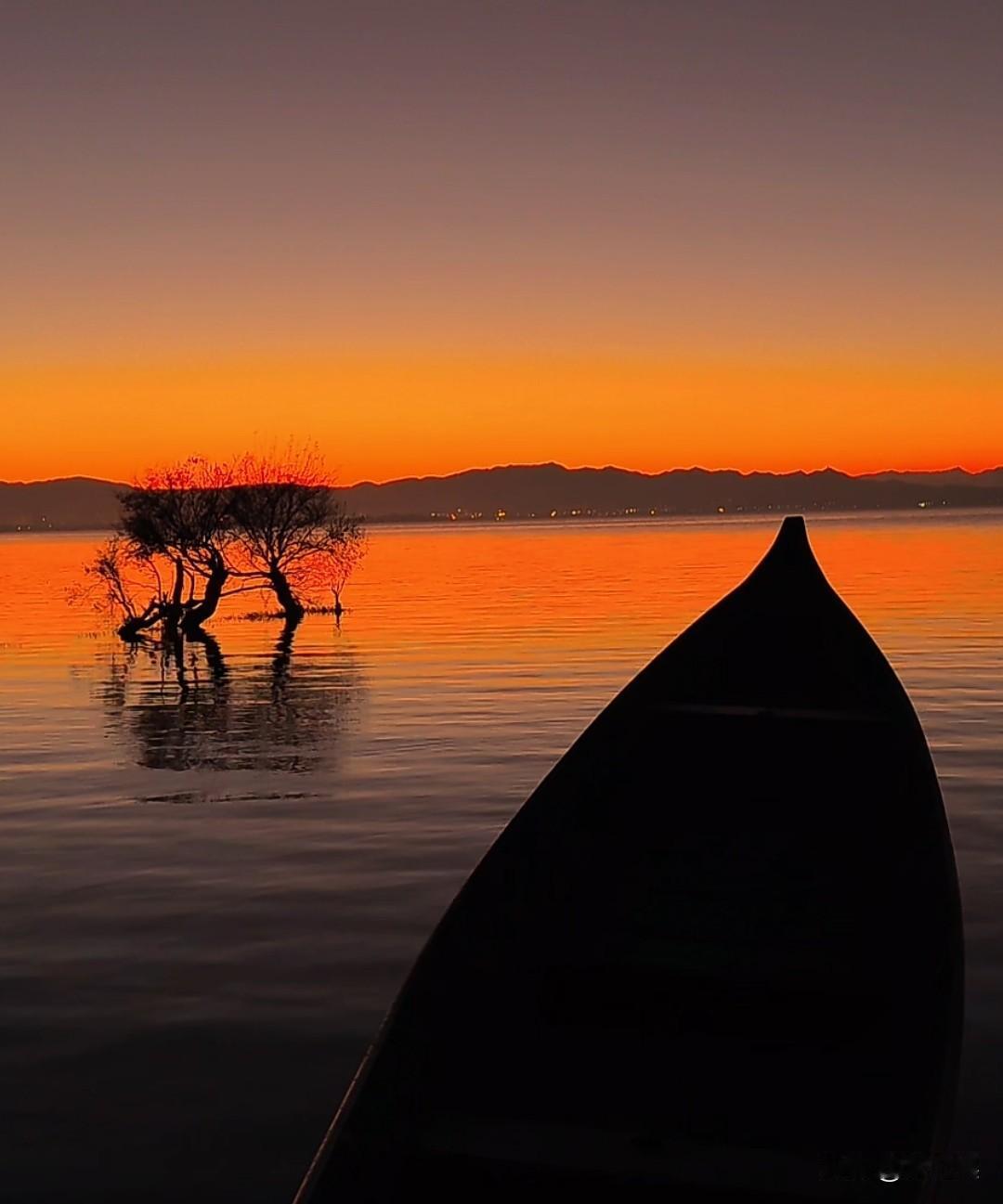 你信吗！
任何人的劝阻都不会让你大彻大悟，
真能让你如梦初醒看透人情世故的，
只