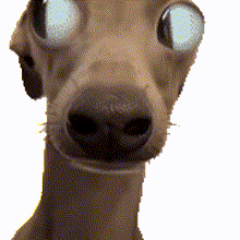 …………姐姐你到底要演多少个剧本 