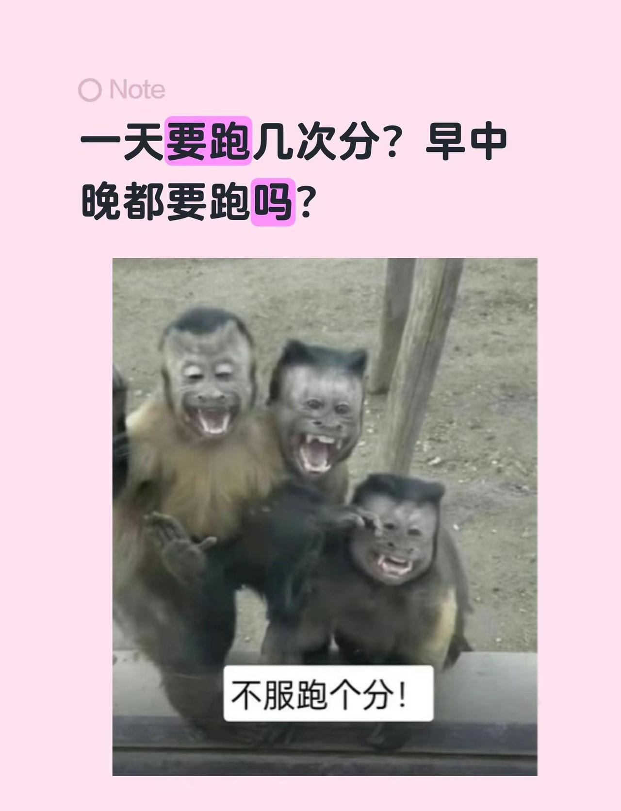 一天要跑几次分？早中晚都要跑吗？你们买苹果华为小米荣耀这些都要跑分吗？每天几次呀