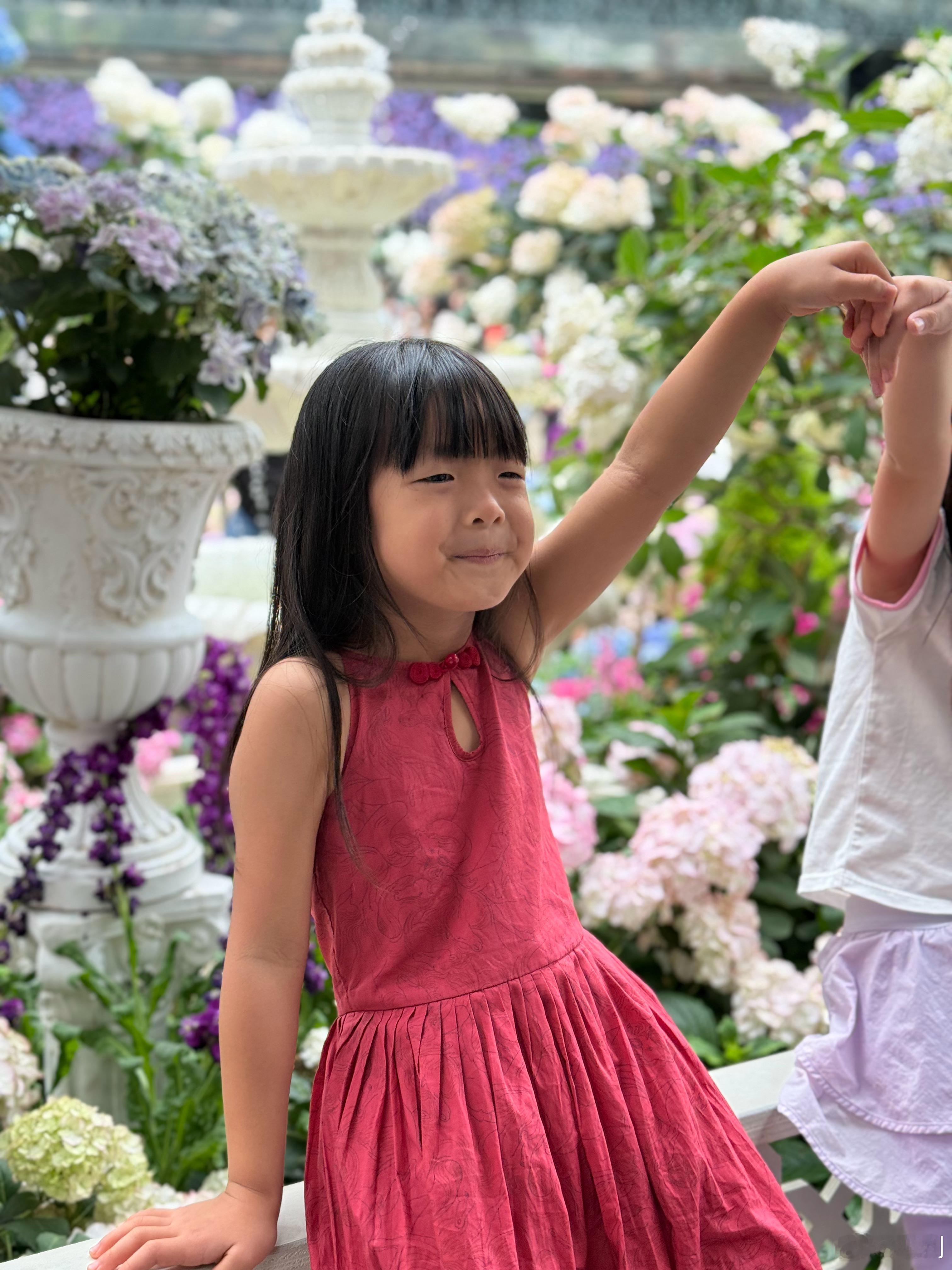 从来没进过滨海湾花园的这两个温室今天在小孔怂恿下办了年卡以后我要多来看植物 新加