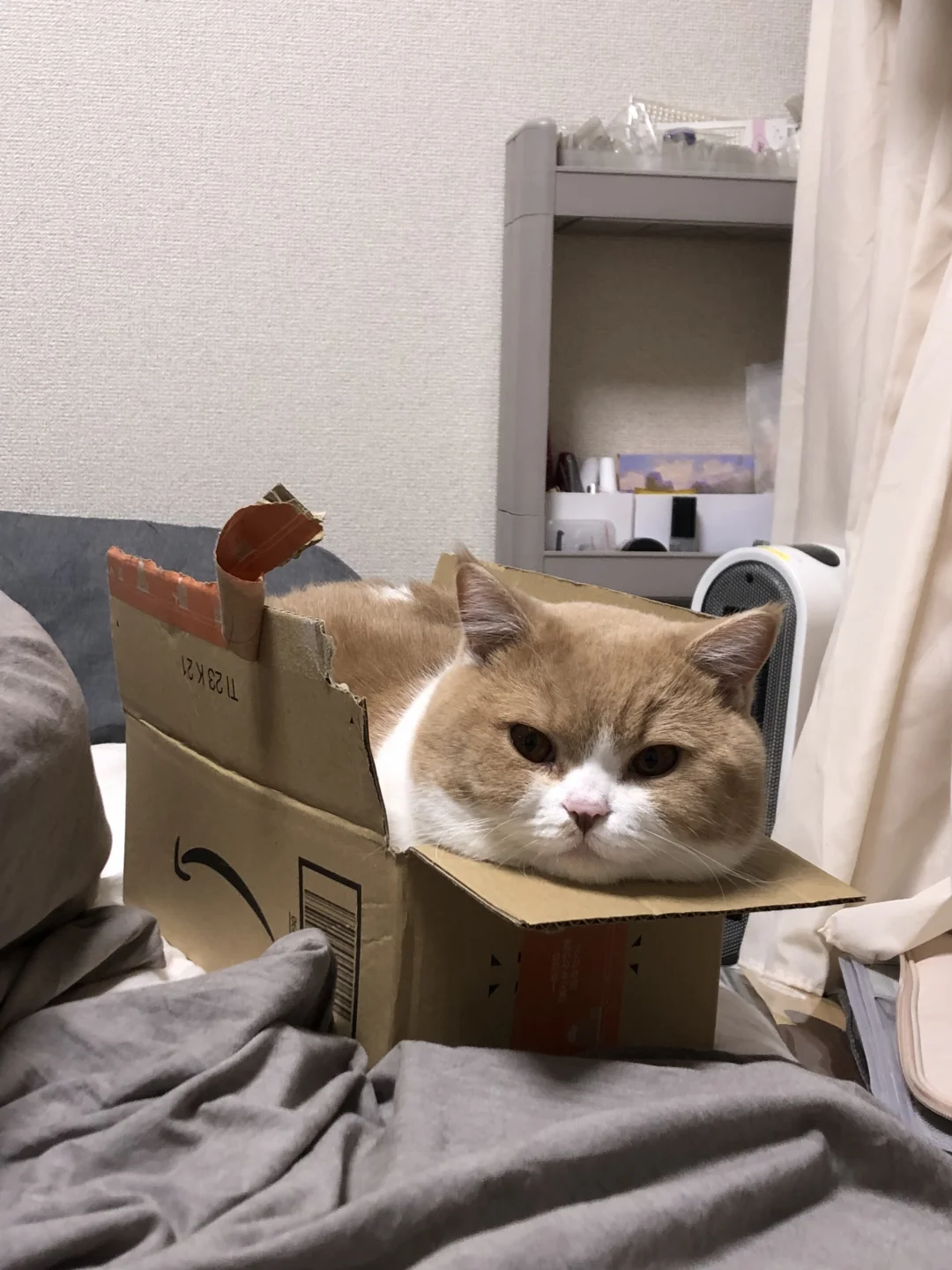 你好 你有一个包裹📦等待签收