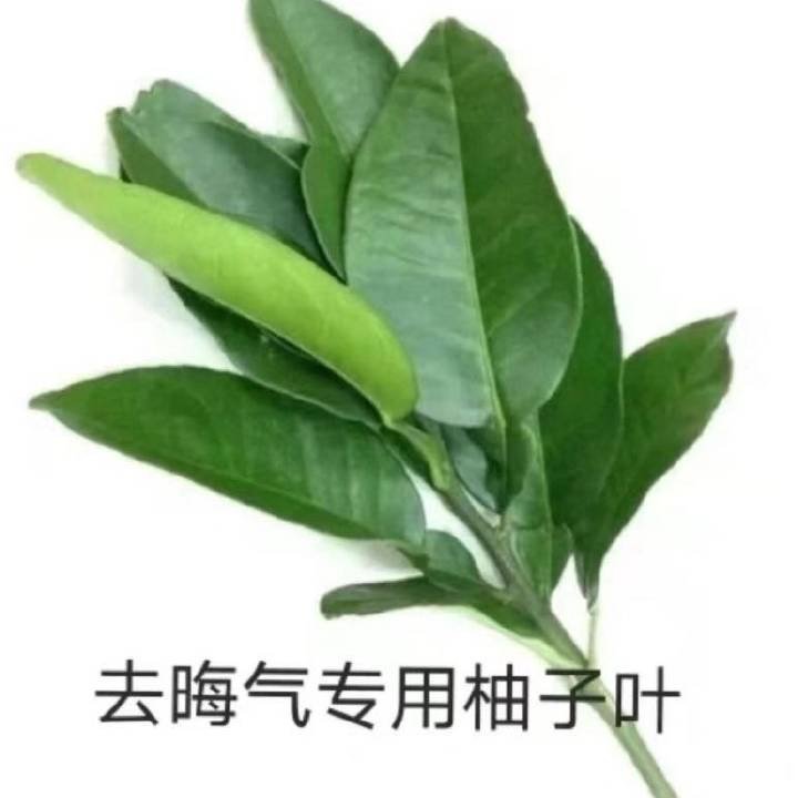 前tss们少zy我家的事儿了造天润💊的人是不是年纪比较小啊？有点社会经历的人应