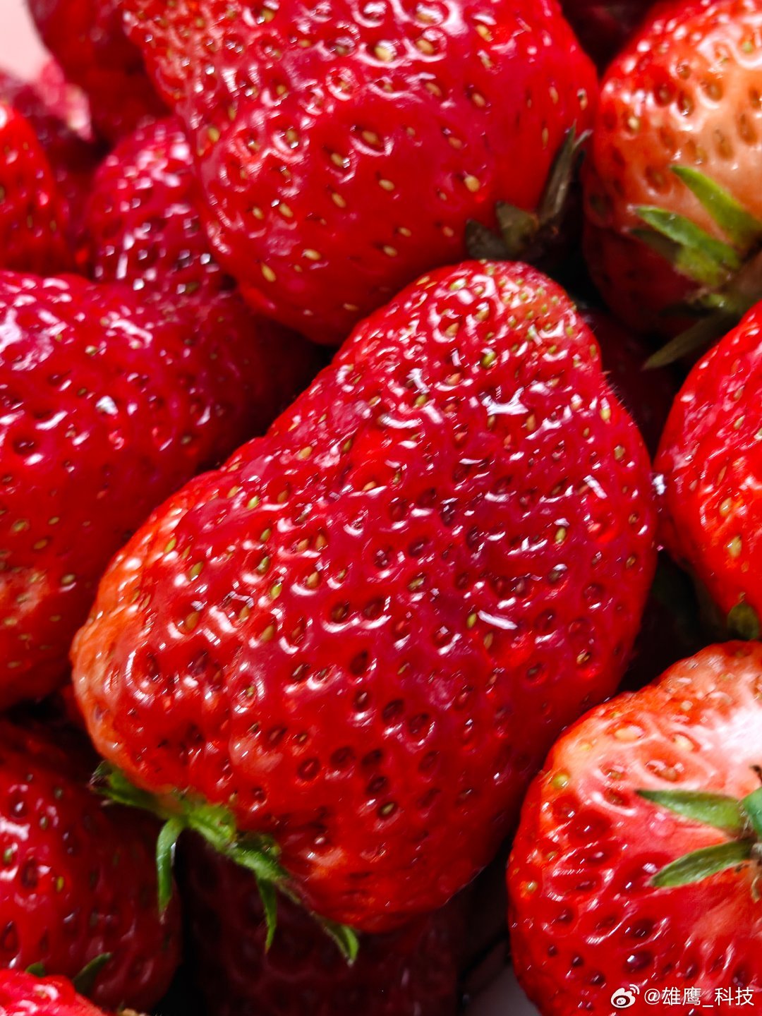 vivo 今晚的菜系，主打一个随性。荤素搭配，水果、粗粮、大饼卷鸡蛋……手机随手