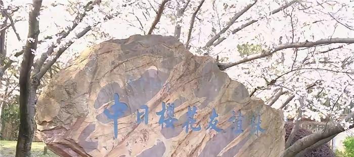 我国暂停中日地方友好活动，引起外界关注，日本深感遗憾。
 
这句“遗憾”听着情真