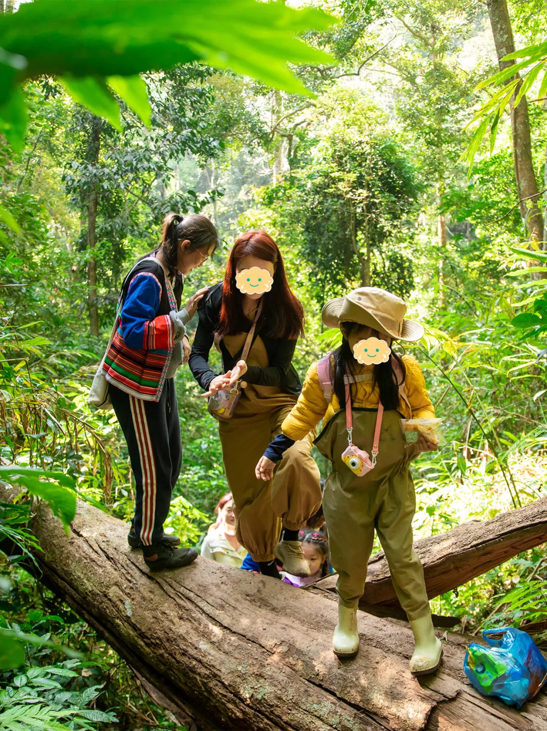 西双版纳已回！建议五一带娃去住小熊猫庄园